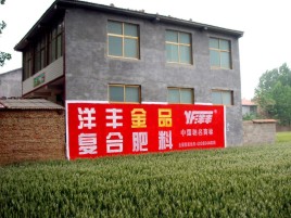 长葛如何让墙体广告展现最大化效果
