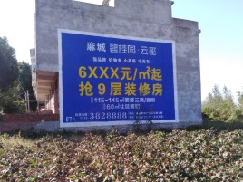 长葛品牌公司青睐的墙体广告