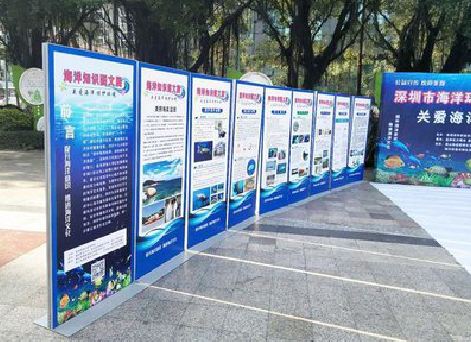 长葛KT板的种类和知识。